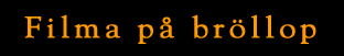 Filma br&ouml;llop, flera filmproduktioner under tiden 2004-2019