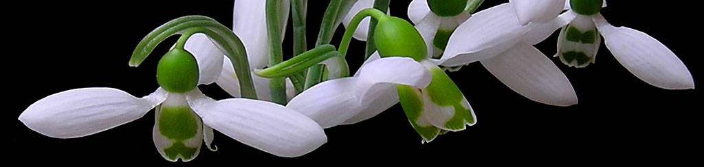 Webbsida med tips - f&ouml;r att producera informativa och tydliga  texter