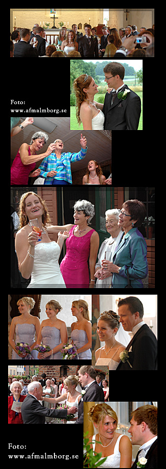 Bilder / filmer fr&aring;n br&ouml;llop i Sk&aring;ne / s&ouml;dra Sverige