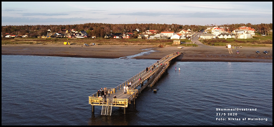 Dr&ouml;narbild fr&aring;n Skummesl&ouml;vsstrand, norr om B&aring;stad. Foto: Niklas af Malmborg 2020