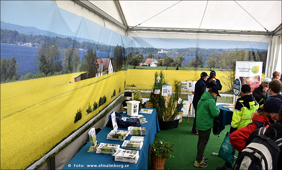 Exempel p&aring; storbild som &auml;r 20 meter bred en bild som t&auml;cker en hel monter i bredd. Foto: Niklas af Malmborg