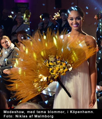Bild fr&aring;n modeshow i K&ouml;penhamn, Danmark, en bild med varma gula f&auml;rger. En show som hade temat br&ouml;llop / blommor / blomsterarrangemang, februari 2015. Foto: Niklas af Malmborg, www.afmalmborg.se